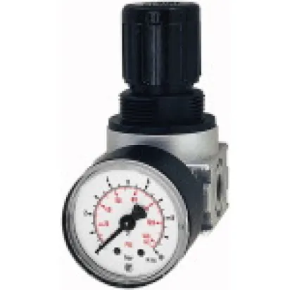 Riegler Druckregler »multifix-mini« inkl. Manometer BG 0