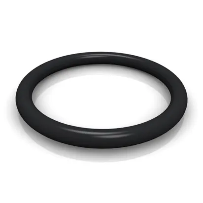 Trelleborg O-Ring 316,87x6,99
