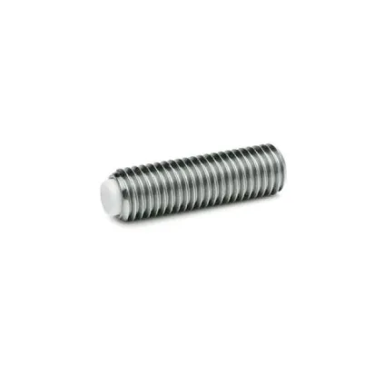 Ganter Gewindestifte, Edelstahl GN913.5-M6, Kunststoff (Polyacetal POM)