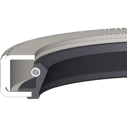 Dichtomatik Wellendichtring mit Feder WC