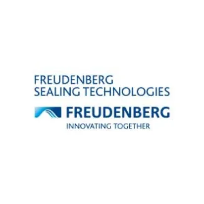Freudenberg OMK-QR 315x294x7,7x10,5 PTFE C104/NBR