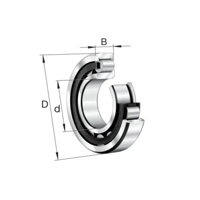 WJ120X240 INA Zylinderrollenlager