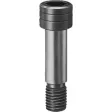 Kipp Passschraube Form B M16x55 brüniert