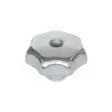 Ganter Sterngriffe DIN6336-GG-32