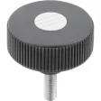 Kipp Novo.Grip Rändelrad Gr. 1 Form L D=40 M8x30, Deckel lichtgrau Edelstahl