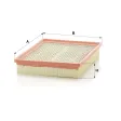 MANN C-Luftfilter C 30