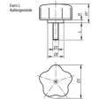 Kipp ST Fünfsterngriff D3=50, M8x35