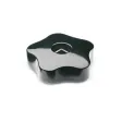 Ganter Sterngriffe GN5333
