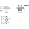 Ganter Sterngriffe, Buchse Edelstahl GN5337.7-32