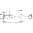 Ganter Zylinderstifte DIN7979