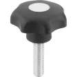 Kipp Sterngriff D1=50 M12x40 Form L, Deckel lichtgrau