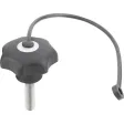 Kipp Sterngriff D1=50 M10x60 mit S.Band Form LS, Deckel lichtgrau, Edelstahl