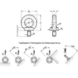 Ganter Ringschrauben DIN580
