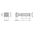Kipp Schraube für T-Nut 22 DIN787 D1=M20, L=315