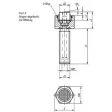 Kipp Pendelauflage Form F mit O-Ring D1=M16, L1=80
