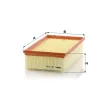 MANN C-Luftfilter C 30