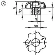 KIPP STERNGRIFF ÄHNLICH DIN6336 D=M12