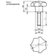 Kipp Sterngriff D1=63 M12x35 Form L, Duroplast