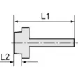 Riegler Einschraubschlauchtülle R3/4