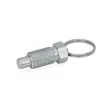Ganter Rastbolzen GN717-4