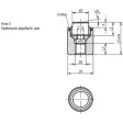 Kipp Pendelauflage Form C mit O-Ring D1=17, L1=22