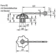 Kipp Sterngriff D1=40 M8 mit S.Band Form KS
