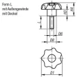 Kipp Sterngriff D1=25 M5x20 Edelstahl Form L, Deckel lichtgrau