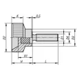 Kipp Rändelschraube Kunststoff M8x25