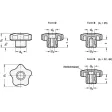 Ganter Sterngriffe, Buchse Edelstahl GN5337.7-63