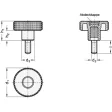 Ganter Kordelgriffschrauben GN534-40
