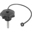 Kipp Sterngriff D1=40 M8x15 mit S.Band Form LS, Edelstahl