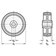 Ganter Räder GN22884