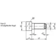 Kipp Kugeldruckschraube Form B mit Kopf, D1=M10, L2=25