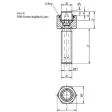 Kipp Pendelauflage Form K mit O-Ring D1=M12, L1=20