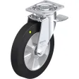 Blickle Lenkrolle LH-ALEV 250K