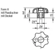 Kipp Sterngriff D1=63, D4=12 Form H