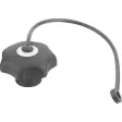 Kipp Sterngriff D1=63 M12 mit S.Band Form KS, Deckel lichtgrau, Edelstahl