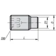 Kipp Druckschraube M5x8,5 mit Messingbolzen