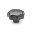 Ganter Sterngriffe DIN6336-GG-80
