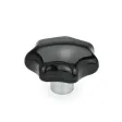 Ganter Sterngriffe GN6336.1