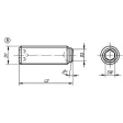KIPP M06X0,5 KUGELDRUCKSCHRAUBE OHNE KOPF