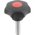 Kipp Sterngriff D1=25 M5x15 Edelstahl Form L, Deckel verkehrsrot