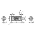 KIPP D=M12 FEDERNDES DRUCKSTÜCK STANDARD