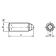 KIPP M06X0,5 KUGELDRUCKSCHRAUBE OHNE KOPF