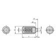 KIPP D=M06 FEDERNDES DRUCKSTÜCK STANDARD