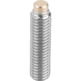 M6x61,5 Edelstahl mit Messingbolzen Kipp