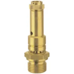 SW 20 Riegler