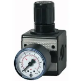 Riegler Druckregler »multifix« inkl. Manometer BG3