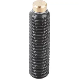 M10x27 mit Messingbolzen Kipp