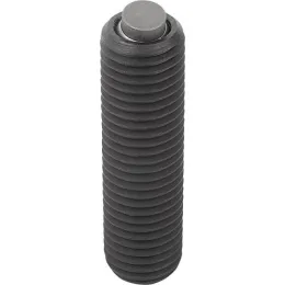 mit O-Ring D1=M24, L1=80 Kipp